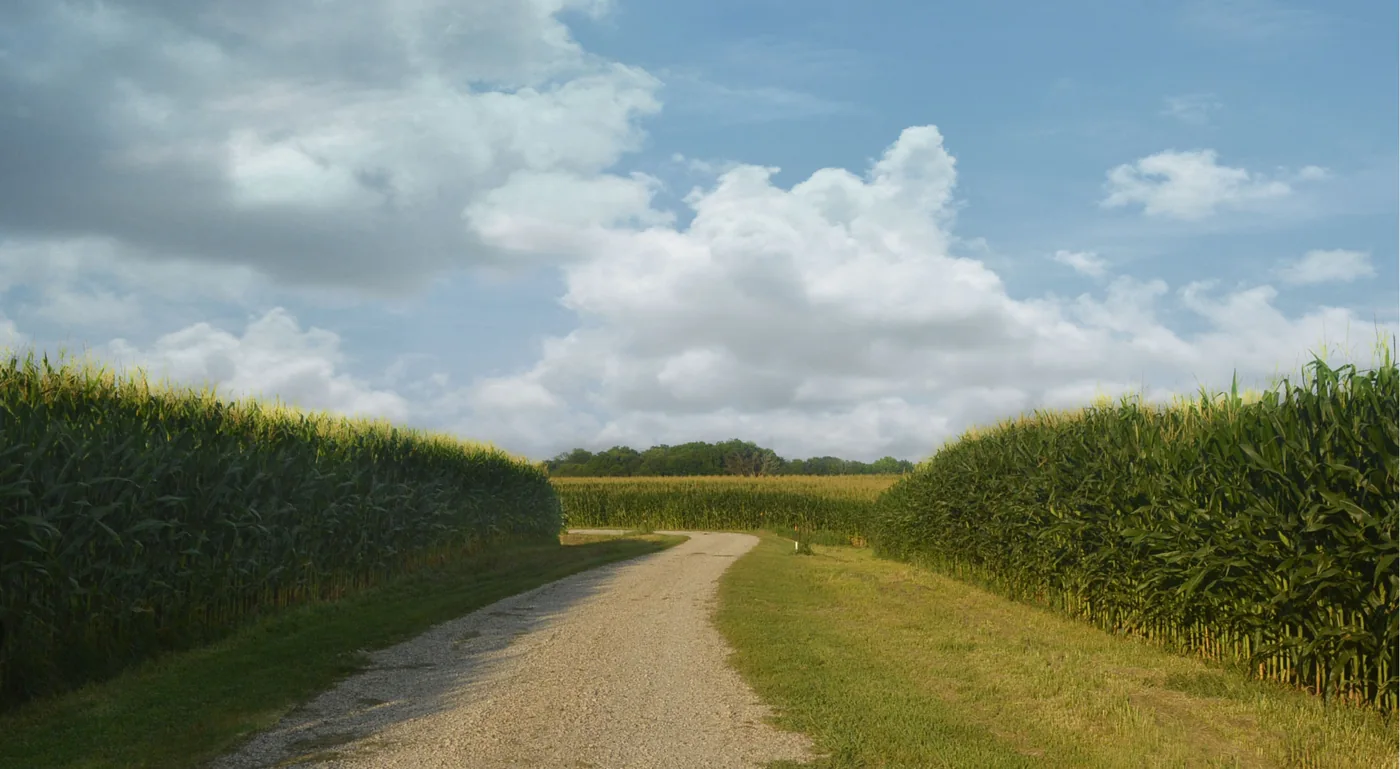 Representative Illinois farmland; not a photograph of the Glenwood project.